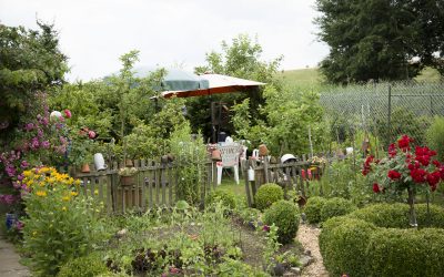 Gartenstories: Grüner Sommerraum